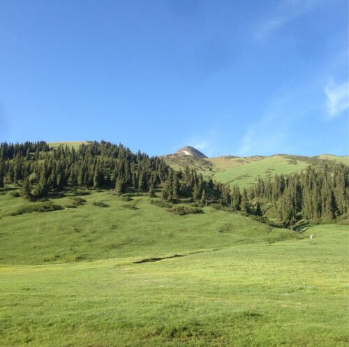 Пример новости