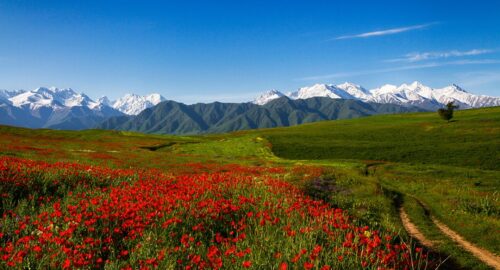 Пример мероприятия